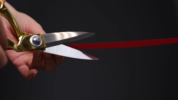 Elevate your brand image through memorable inauguration events